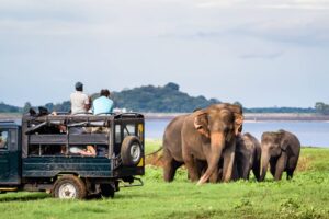 Sri Lanka Rundreise Yala Nationalpark